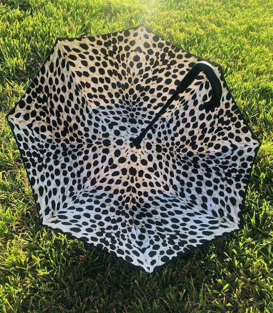 AAA Umbrellas